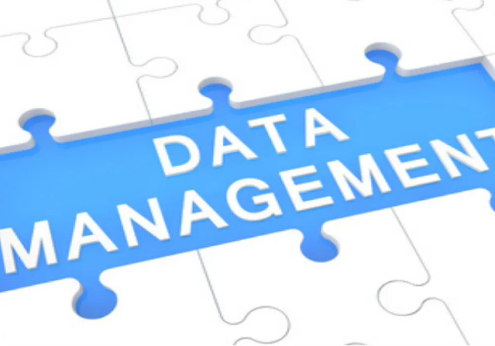 test-data-management-need-business-success